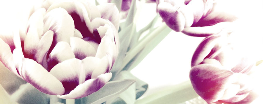 JBG Lovelybrands, Julia Boltersdorf-Günter, Marketingberatung, Hamburg, schnelle Marketinglösung, externe Marketingberatung, PRberatung Hamburg, Marketinglösung in 3 Mittagessen, schnelle PRlösung in 3 Mittagessen, Marketingdienstleister, Marketing Burnou